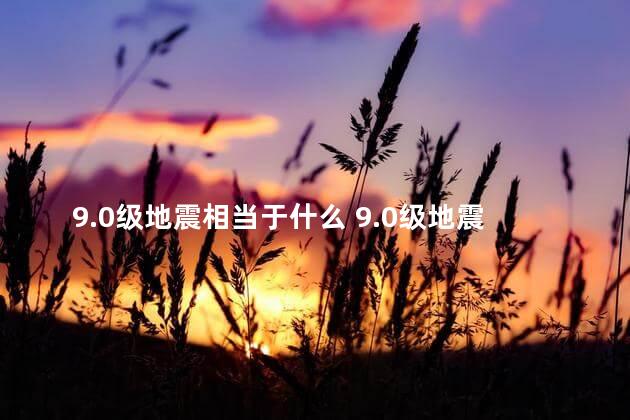 9.0级地震相当于什么 9.0级地震相当于